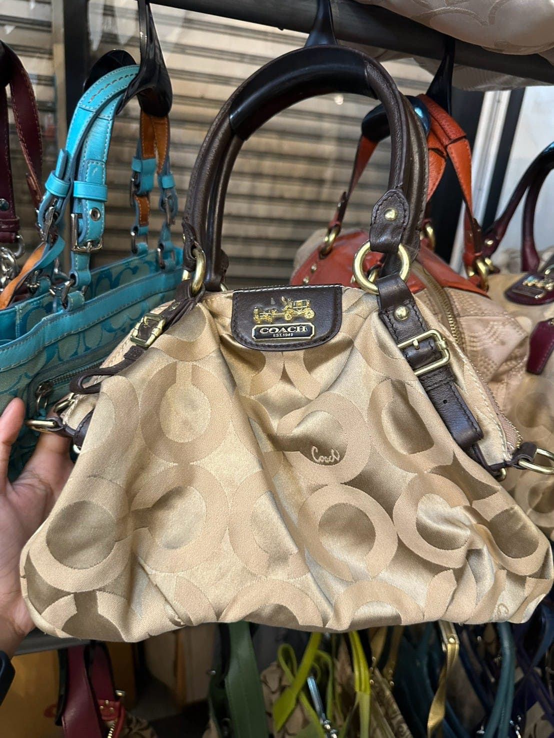 Coach Women's Bags